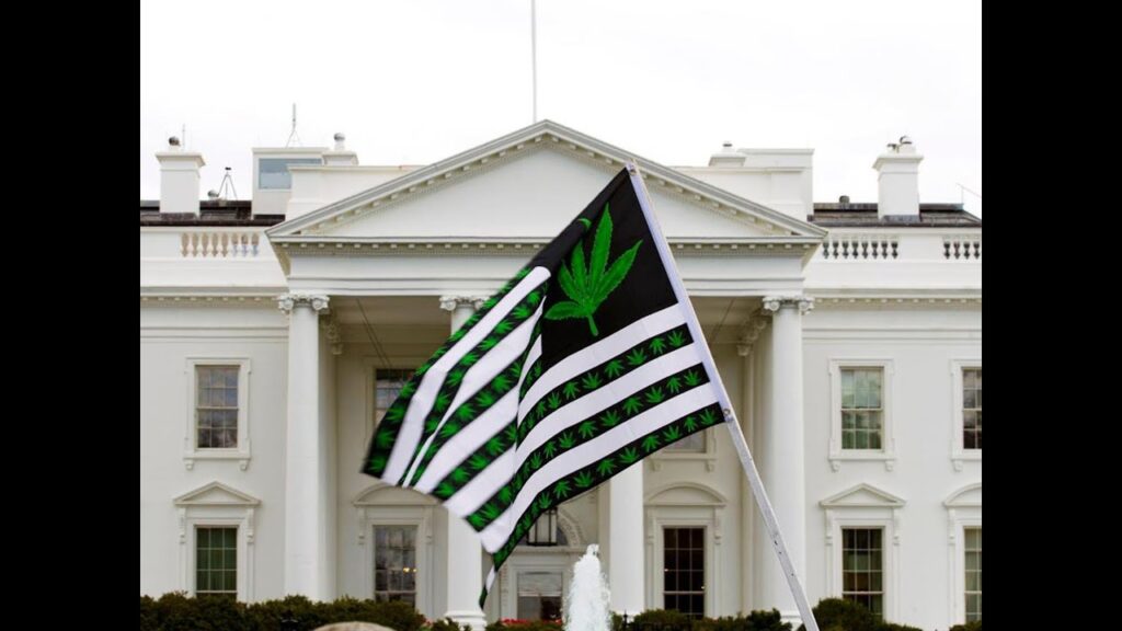 US Cannabis Coalition Founder Gives Impassioned Speech In LA