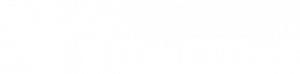 Stone Zone Logo