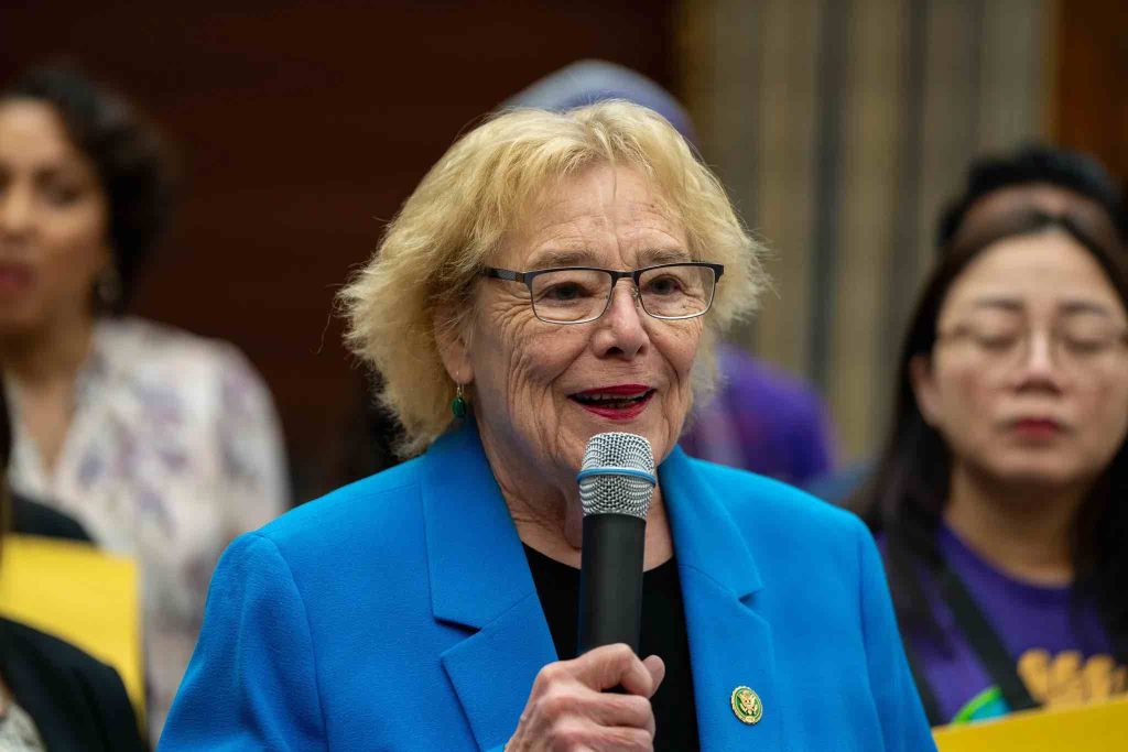 Protecting Big Tech and its Investors