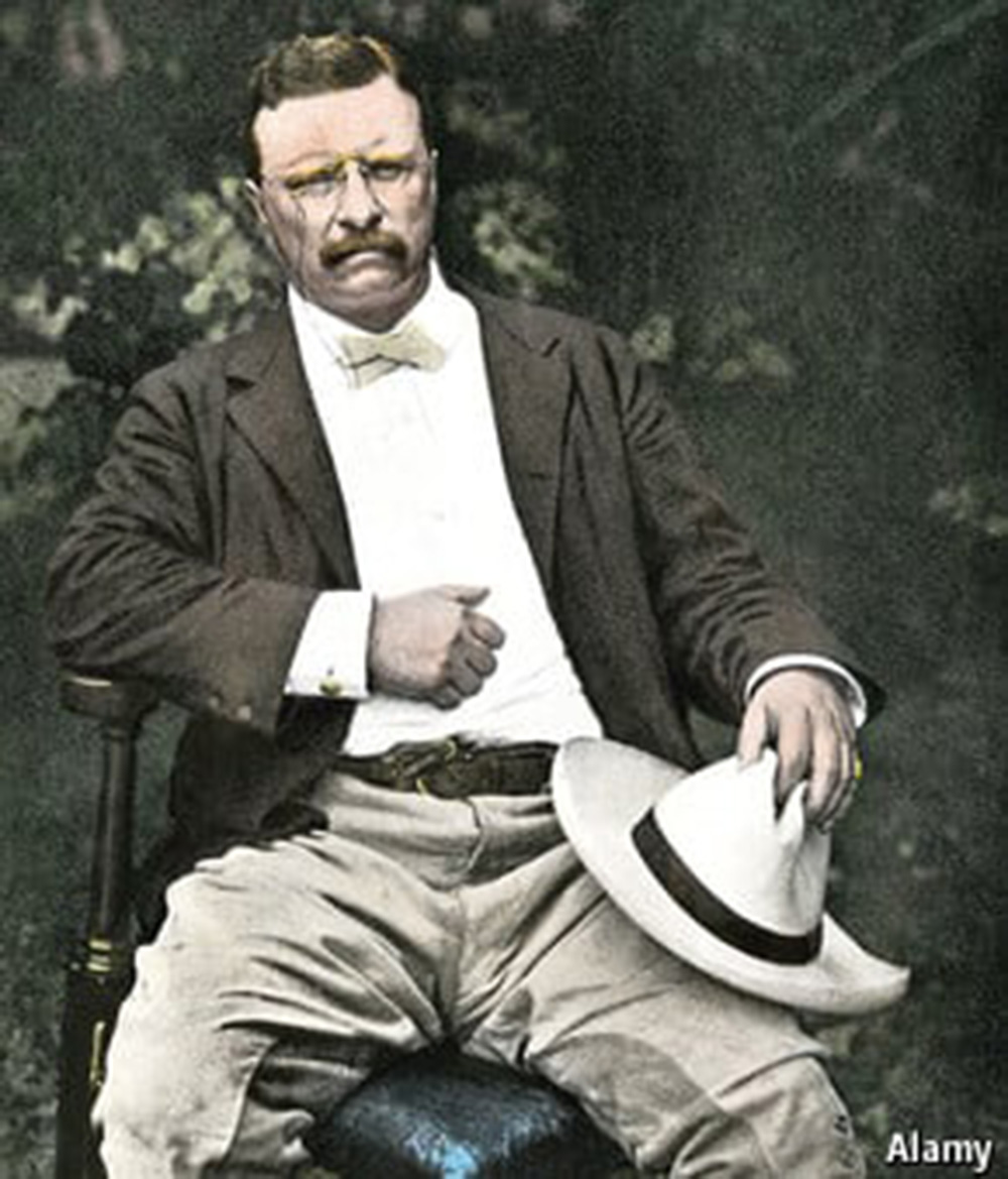 President Theodore Roosevelt