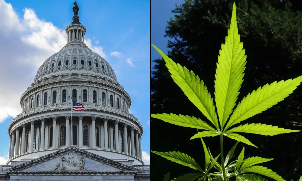 Congress Punts on Hemp Policy — Hiding It in a Must-Pass Spending Bill